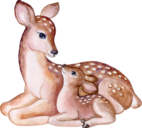 Deer mom and baby watercolor illustration