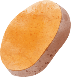 Watercolor Sweet Potato 