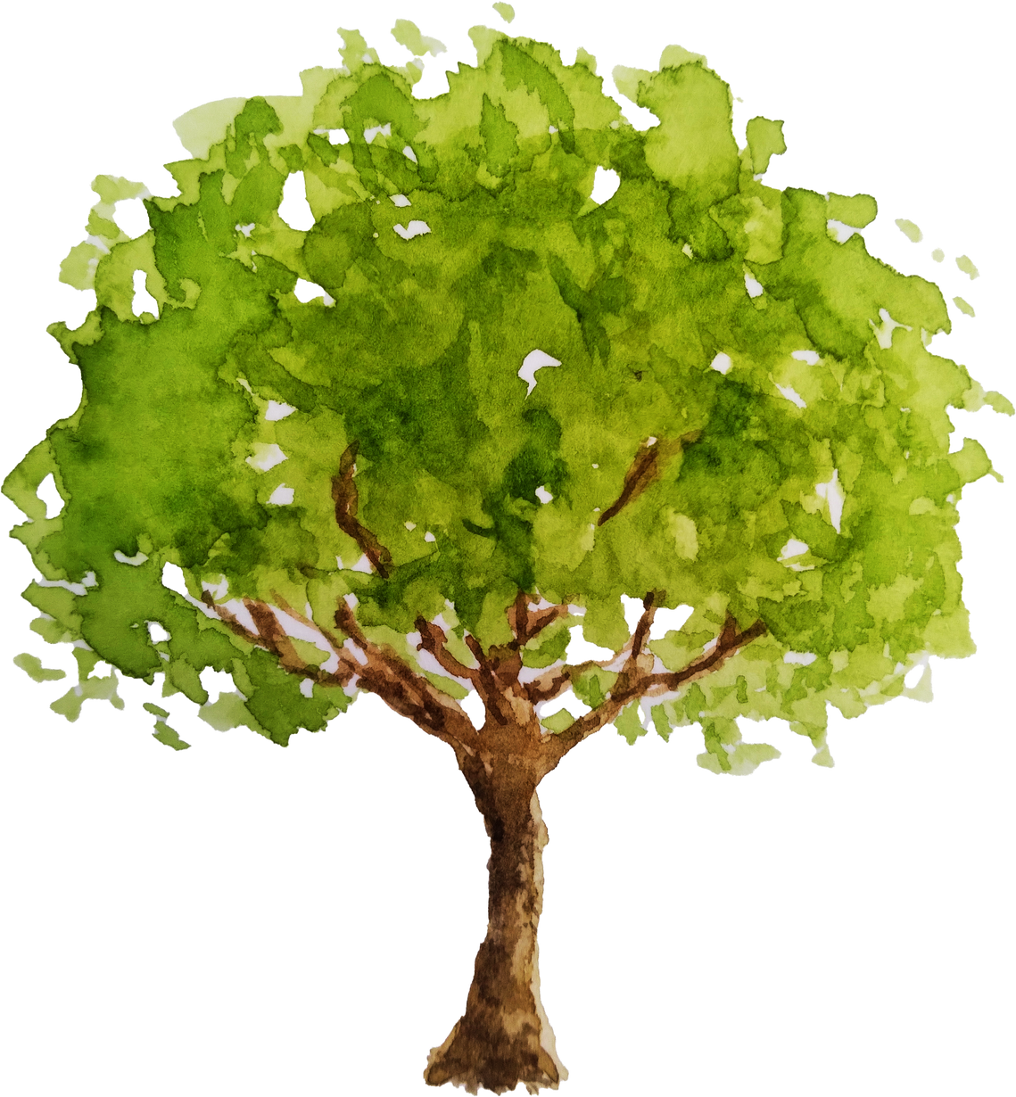 Watercolor Leafy Tree