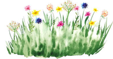Watercolor Meadow Illustration