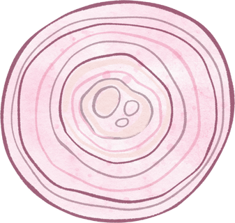 Slice of Onion